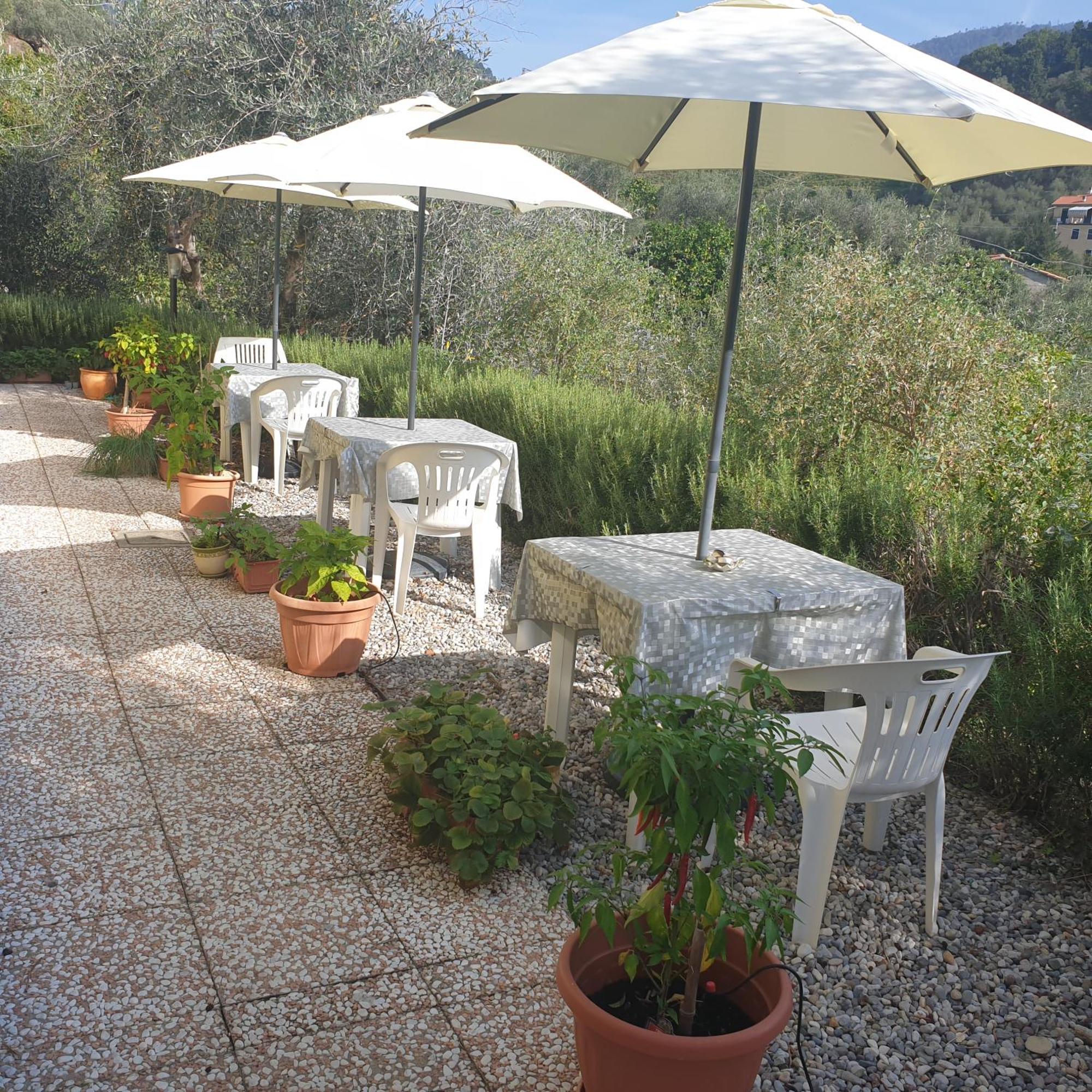 Agriturismo La Collina Verde Levanto Exterior foto